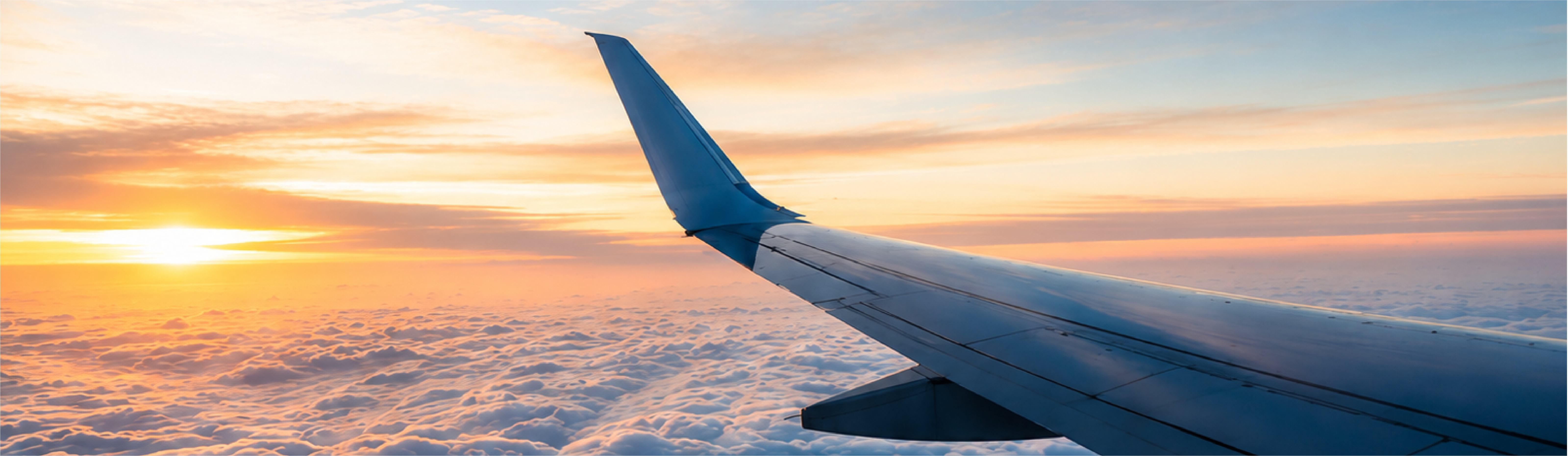 WHAT NOBODY SEES BEHIND A FLIGHT